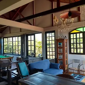 The Cats' House , Florianópolis Brasil